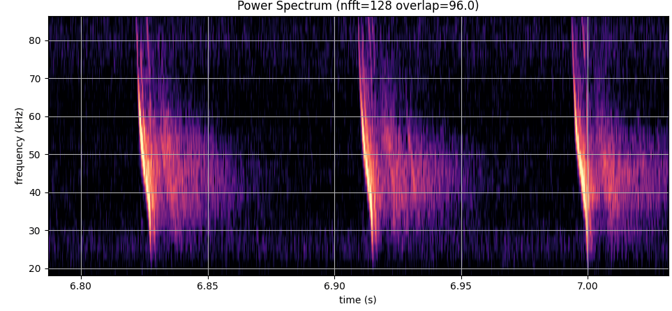 Daubenton echolocation chirps with knee, and subsequent hash from echos.