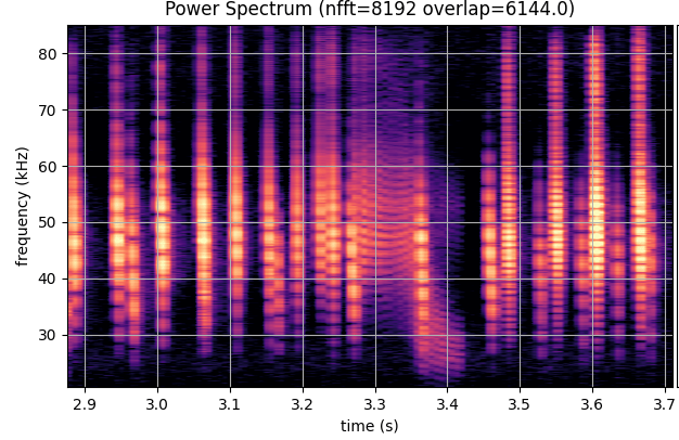 Banding in daubenton's bat sonogram