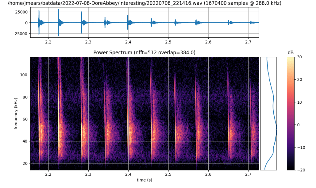 Natterers bat echolocation calls. Very wide band, very straight.