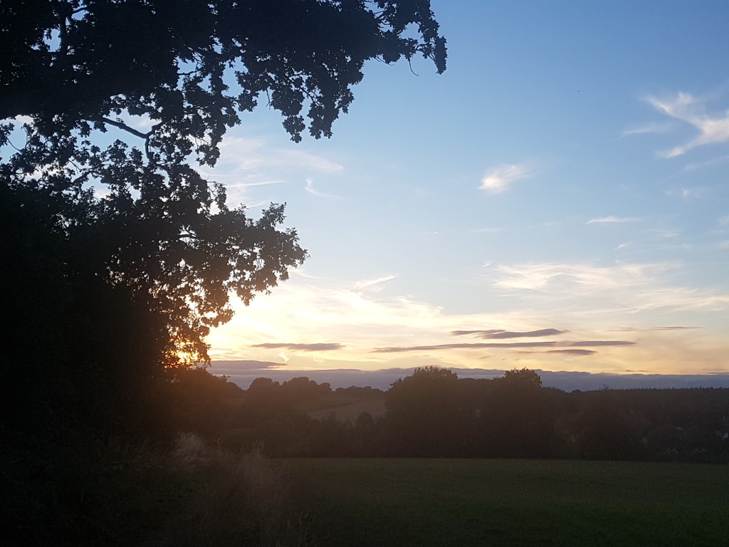 Evening view from Ivy's Copse, Great Bedwyn