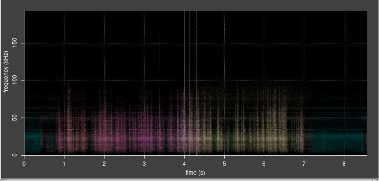 Adaptive Beamforming for Directional Bat&nbsp;Detection