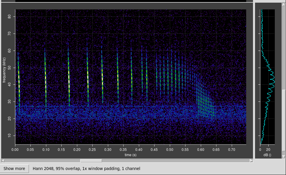 Reflecting on Bats over&nbsp;Water