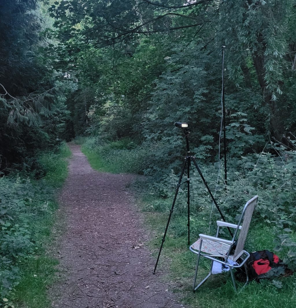 The Bats of Egrove Park (part 2): Daubentons and&nbsp;Barbastelles